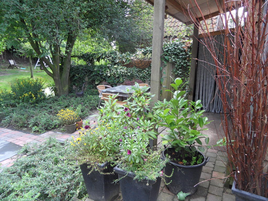 Appartement Regina Garnwerd 객실 사진